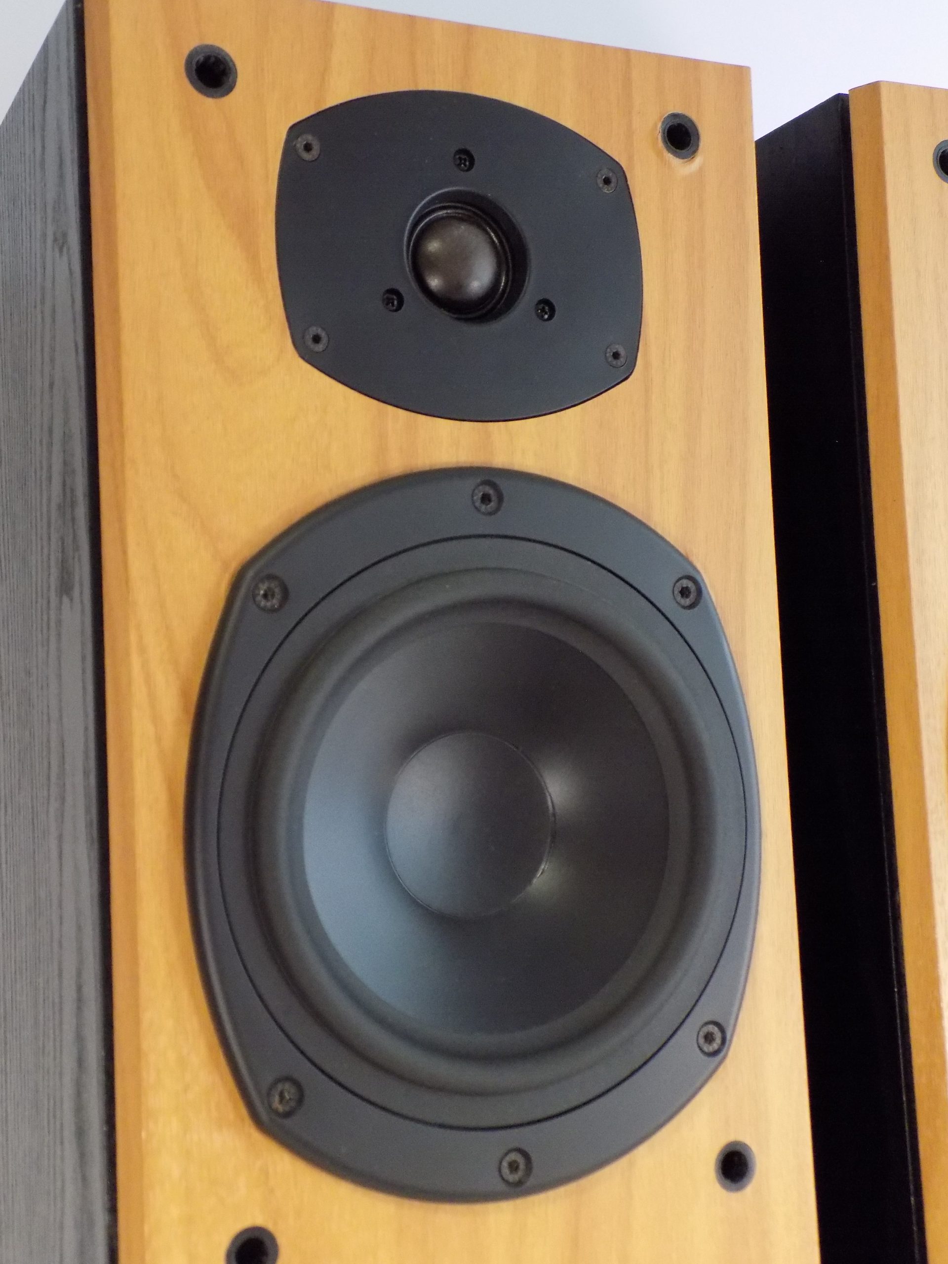 Tannoy Mercury M3 Speakers